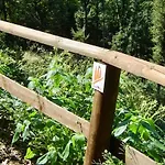 Im Naturpark Rhein-westerwald Apartmán Rengsdorf