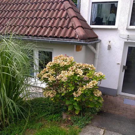 Im Naturpark Rhein-westerwald Rengsdorf