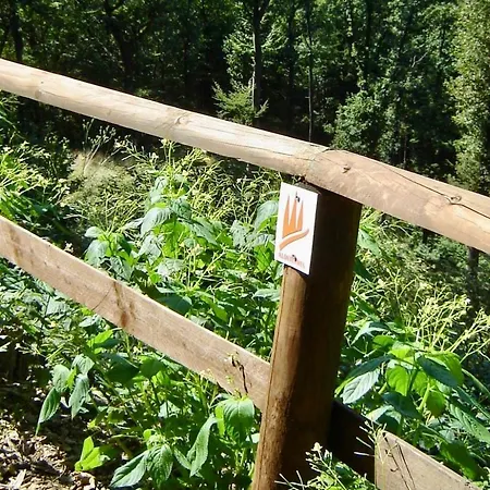 Im Naturpark Rhein-westerwald アパート Rengsdorf
