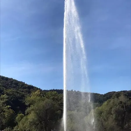 Im Naturpark Rhein-westerwald