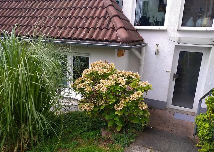 Im Naturpark Rhein-westerwald Rengsdorf