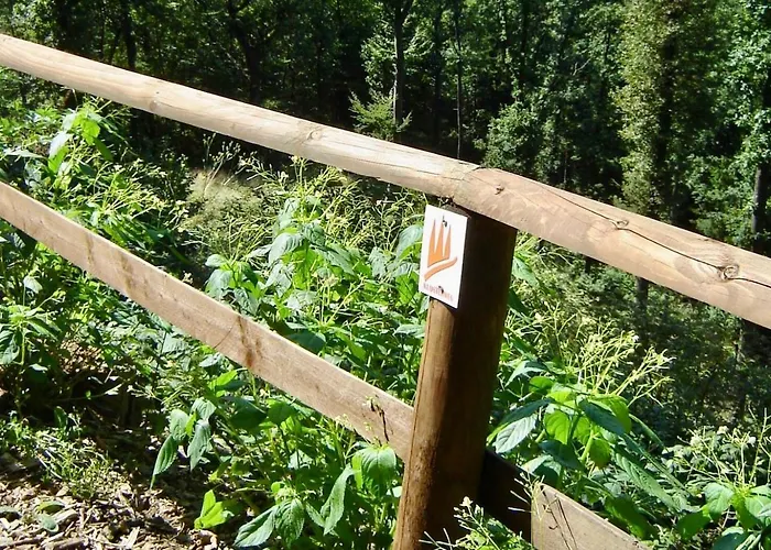 Im Naturpark Rhein-westerwald 아파트 Rengsdorf