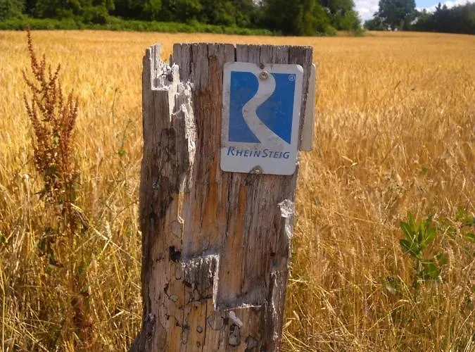 Im Naturpark Rhein-westerwald 아파트 Rengsdorf