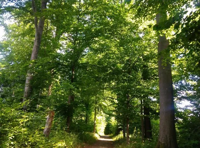 Im Naturpark Rhein-westerwald 아파트 Rengsdorf