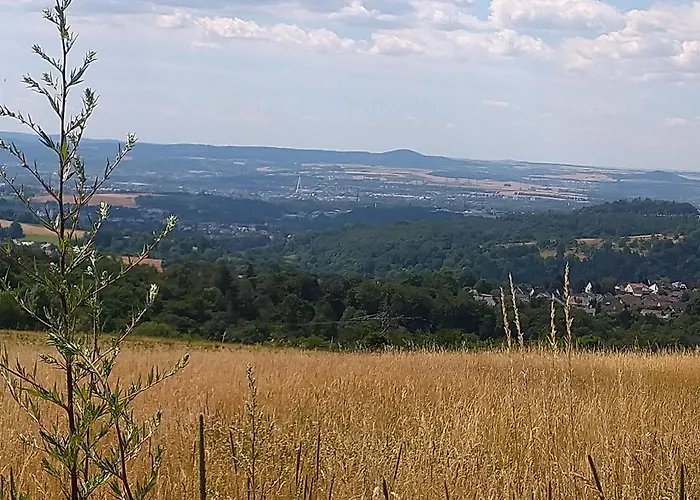 아파트 Im Naturpark Rhein-westerwald