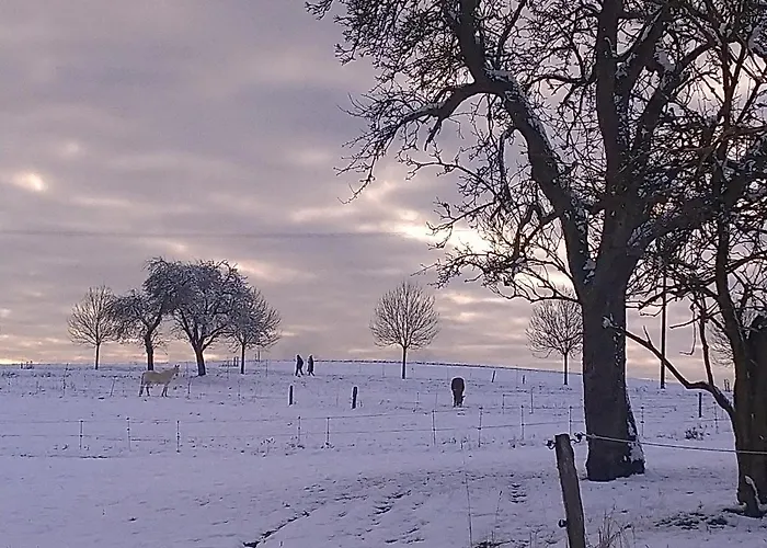 Im Naturpark Rhein-westerwald 아파트 Rengsdorf